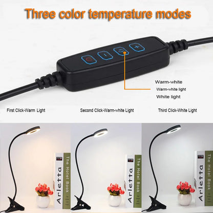 Gooseneck Ring Clamp Desk Lamp